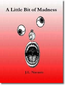 A Little Bit of Madness by J. L. Navarro